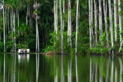Lago Sandoval, Tambopata - Madre de Dios